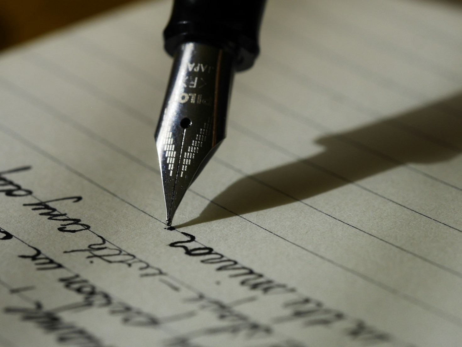 Top Plugins to Enhance Your WordPress Experience
